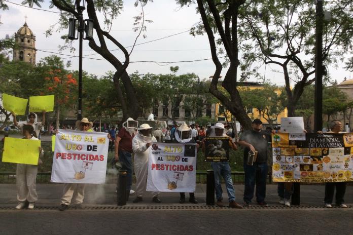 Apicultores de Jalisco se manifiestan afuera del Congreso de Jalisco; piden regulación de agroquímicos