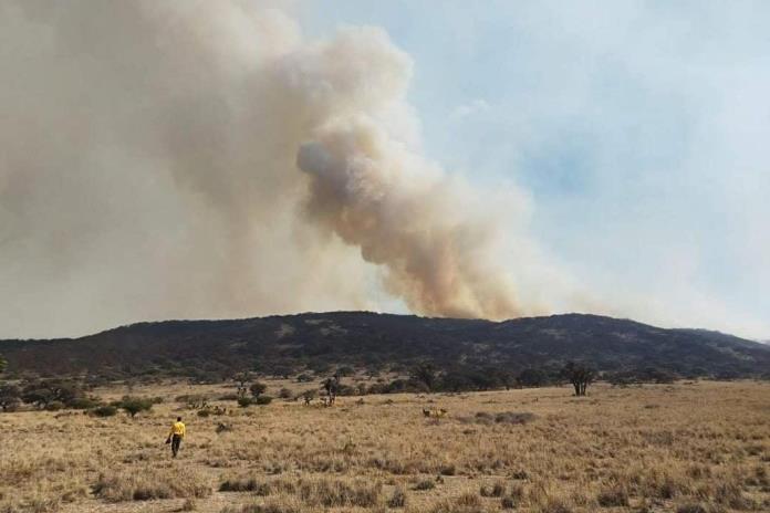 Suman seis días de trabajo y más de tres mil hectáreas afectadas por incendio forestal en Ojuelos de Jalisco