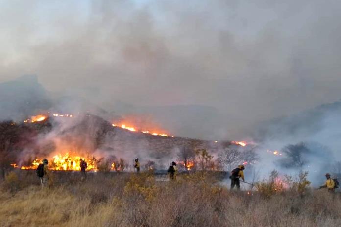 Suman mil hectáreas afectadas por incendio forestal en Encarnación de Díaz