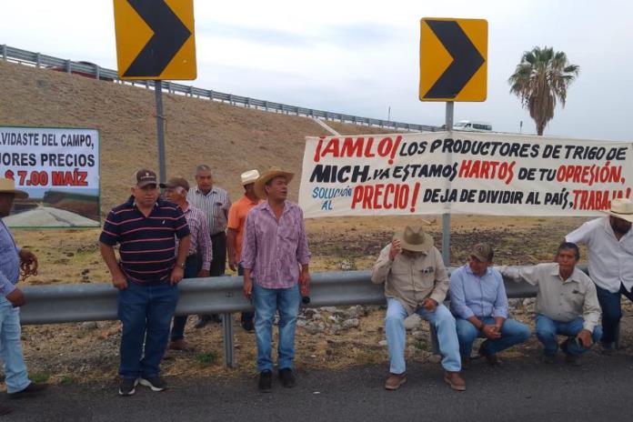 Productores de la Ciénega de Michoacán y Jalisco se manifiestan por incertidumbre del precio de trigo y maíz