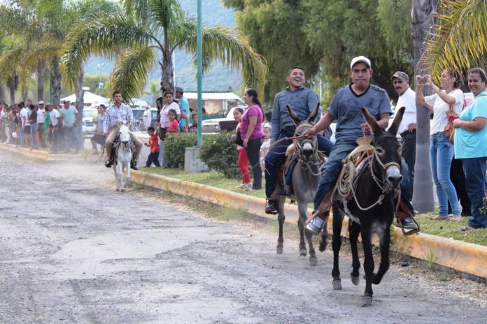 Buscan repoblar burros en Jamay