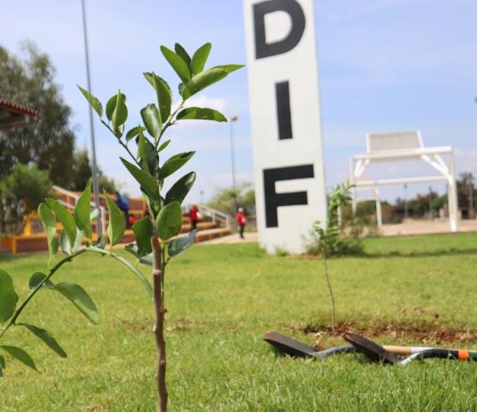 Siembran 200 árboles en Centro Supera de Atotonilco el Alto en el contexto del día del árbol