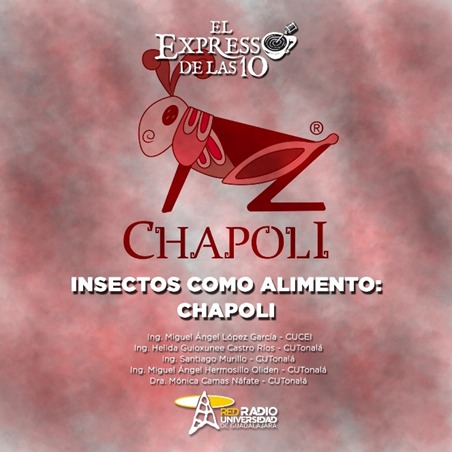 INSECTOS COMO ALIMENTO: CHAPOLI - El Expresso de las 10 - Vi. 07 Jul 2023 INSECTOS COMO ALIMENTO: CHAPOLI - El Expresso de las 10 - Vi. 07 Jul 2023