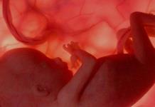La alimentación en el embarazo tiene repercusiones maternas y fetales