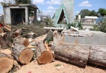 Tromba en Gómez Farías dejó daños materiales en el municipio