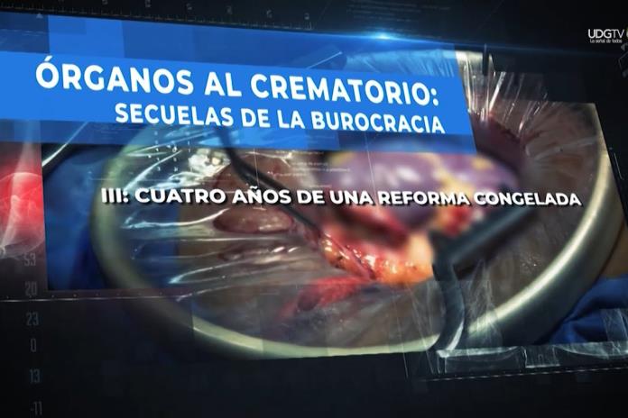 Órganos al crematorio: secuelas de la burocracia | Cuatro años de una reforma congelada