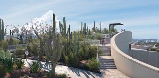 Gana segundo premio internacional el paisajismo del Museo de Ciencias Ambientales